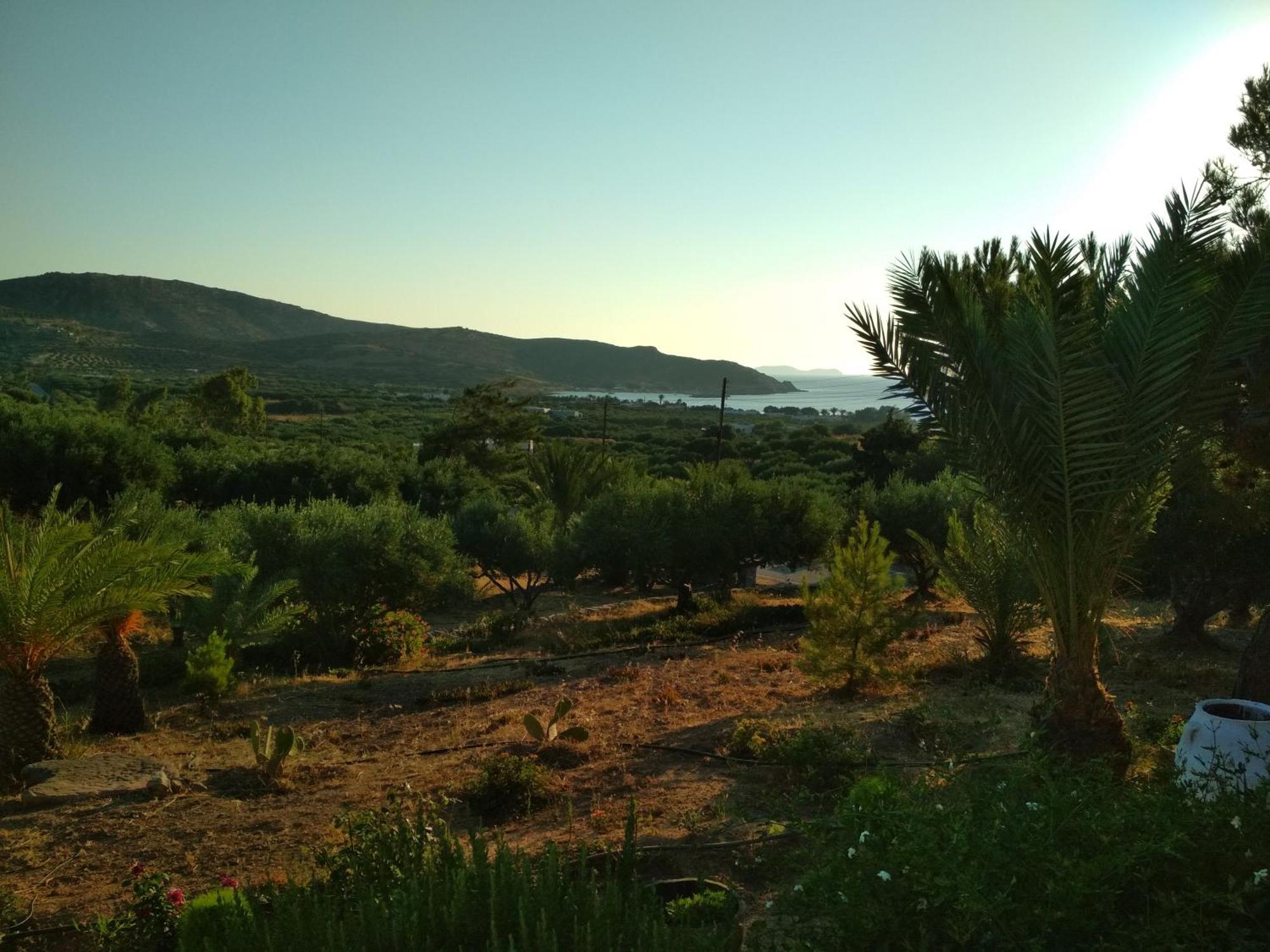 Porto Heli Apartments Палекастрон Экстерьер фото